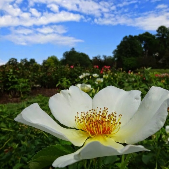 Meet your Posher, Kyle - Picture 1 of 1